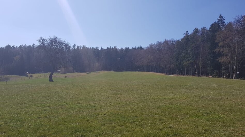 Hiking route Hiking trail from Weiz to the Stross - Touren-Impression #2.1 | © Oststeiermark Tourismus