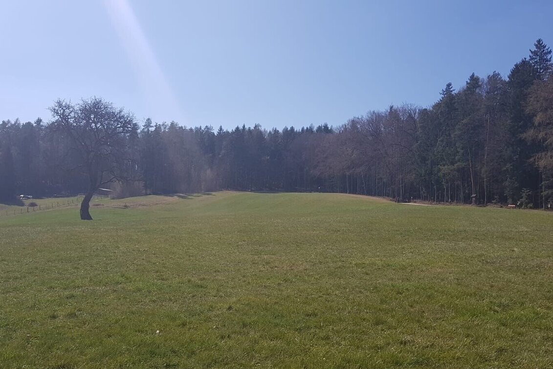 Hiking route Hiking trail from Weiz to the Stross - Touren-Impression #1 | © Oststeiermark Tourismus