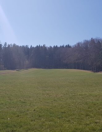 Erste Etappe - Betreten des Waldes | © Oststeiermark Tourismus