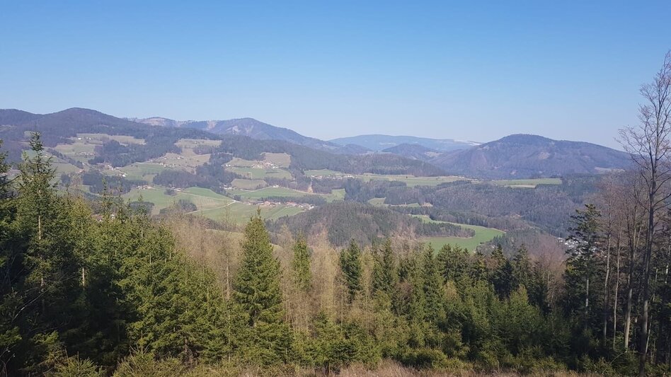 Hiking route Hiking trail from Weiz to the Stross - Touren-Impression #2.5 | © Oststeiermark Tourismus