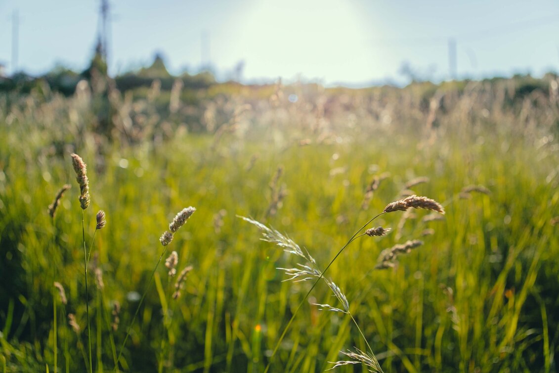 Wanderung Rosenkogelweg Bad Gams Nr. 22 - Touren-Impression #1 | © TVB Südsteiermark/Lupi Spuma