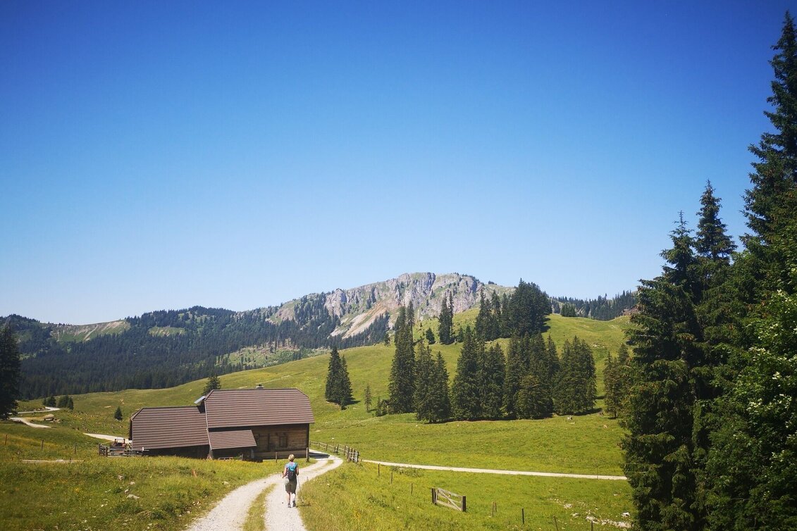Hiking route On Bodenalm, Waxenegg, and Donnerwand in the Mürzer Oberland Nature Park - Touren-Impression #1 | © TV Hochsteiermark