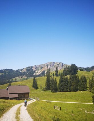 Auf der Bodenalm | Daniela Paul | © TV Hochsteiermark