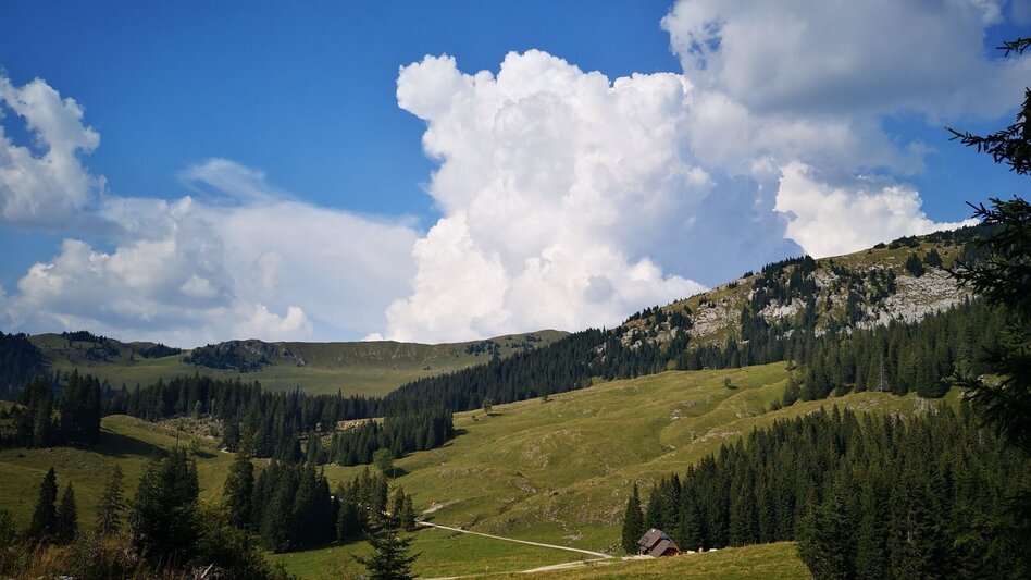 Hiking route On Bodenalm, Waxenegg, and Donnerwand in the Mürzer Oberland Nature Park - Touren-Impression #2.2 | © TV Hochsteiermark