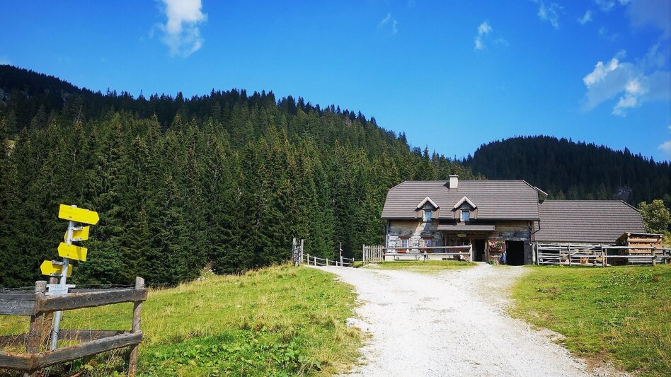 Hiking route On Bodenalm, Waxenegg, and Donnerwand in the Mürzer Oberland Nature Park - Touren-Impression #2.5 | © TV Hochsteiermark