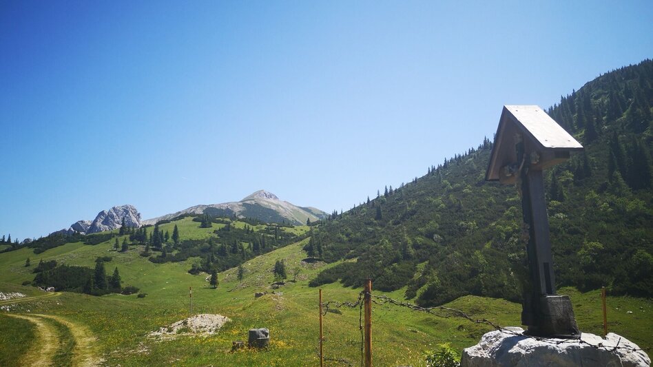 Hiking route On Bodenalm, Waxenegg, and Donnerwand in the Mürzer Oberland Nature Park - Touren-Impression #2.6 | © TV Hochsteiermark