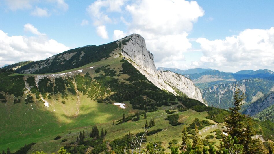 Hiking route On Bodenalm, Waxenegg, and Donnerwand in the Mürzer Oberland Nature Park - Touren-Impression #2.7 | © Alpenverein-Gebirgsverein