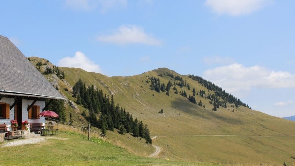 Hiking route On Bodenalm, Waxenegg, and Donnerwand in the Mürzer Oberland Nature Park - Touren-Impression #2.8 | © Alpenverein Edelweiss