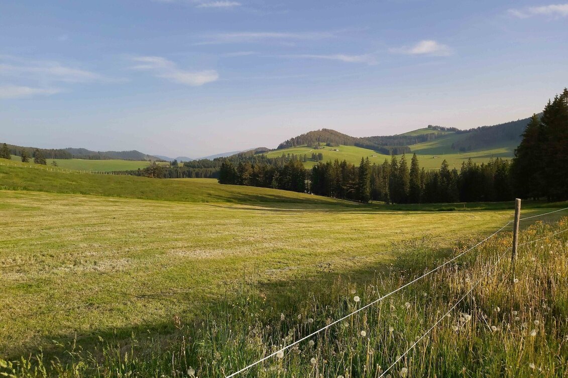 Hiking route Gerlerkogel, von der Teichalm - Touren-Impression #1 | © Oststeiermark Tourismus