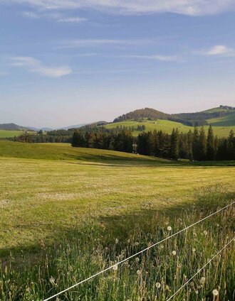 Teichalm, Aussicht vom Heutlantsch-Parkplatz | Christa Pollhammer | © Oststeiermark Tourismus