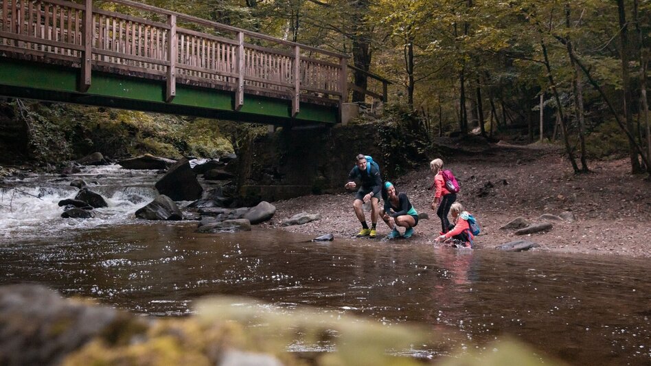 Hiking route Forest hiking trail Bad Gams - Touren-Impression #2.3 | © TVB Südsteiermark/Nadine Geuter