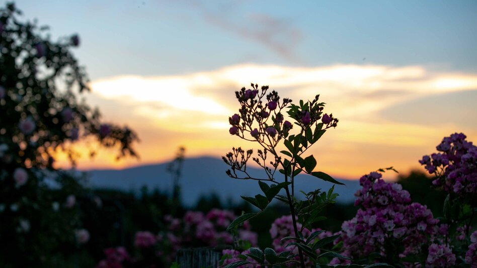 Hiking route Forest hiking trail Bad Gams - Touren-Impression #2.2 | © TVB/Südsteiermark/Lupi Spuma