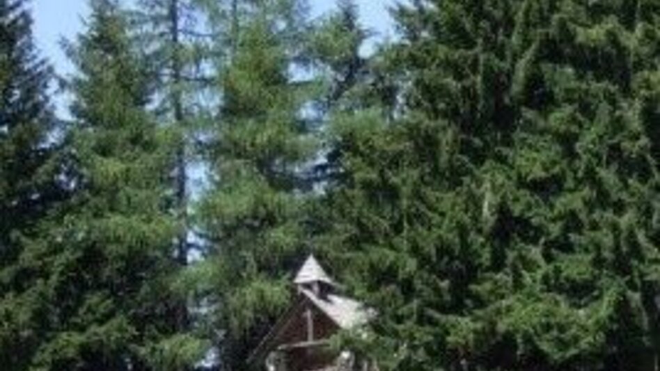 Hiking route Forest hiking trail Bad Gams - Touren-Impression #2.4 | © TVB Südsteiermark/Winfried Bräunlich