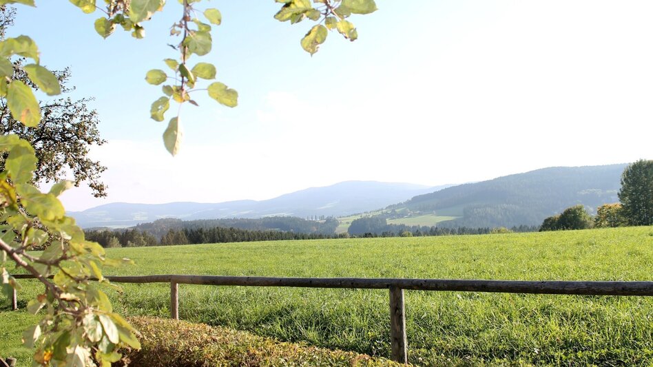 Hiking route alpannonia circular trail - recharge your batteries, St. Jakob im Walde - Touren-Impression #2.2 | © Region Joglland - Waldheimat