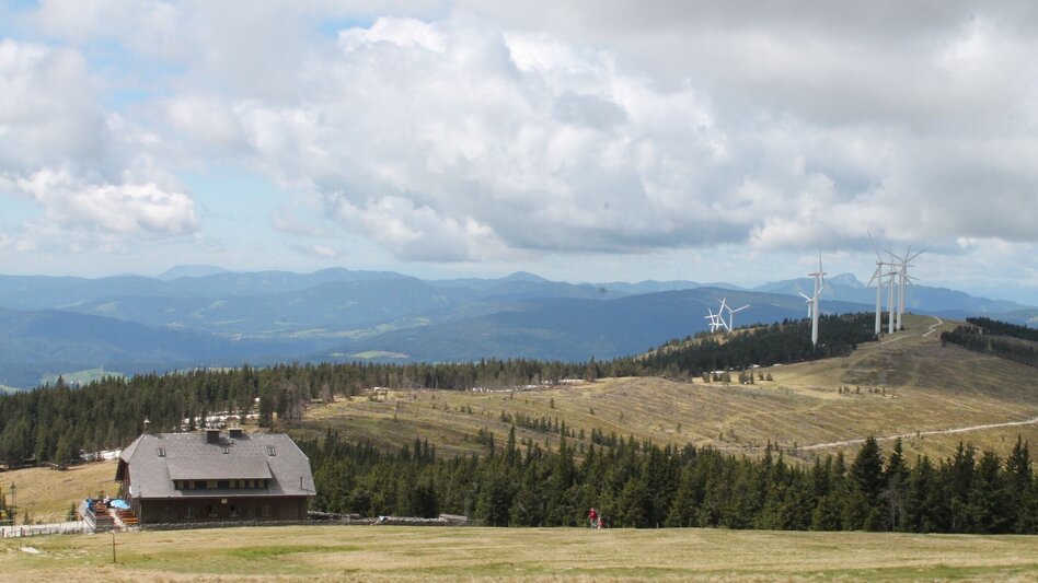 Wanderung alpannonia Rundweg - hoch hinaus, Rettenegg - Touren-Impression #2.4 | © Region Joglland - Waldheimat