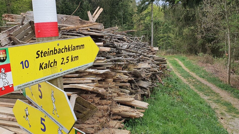 Hiking route Steinbachklamm - way back via Neudorfberg - Touren-Impression #2.1 | © (c) Günther Steininger