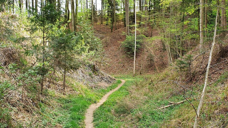 Hiking route Steinbachklamm - way back via Neudorfberg - Touren-Impression #2.2 | © (c) Günther Steininger
