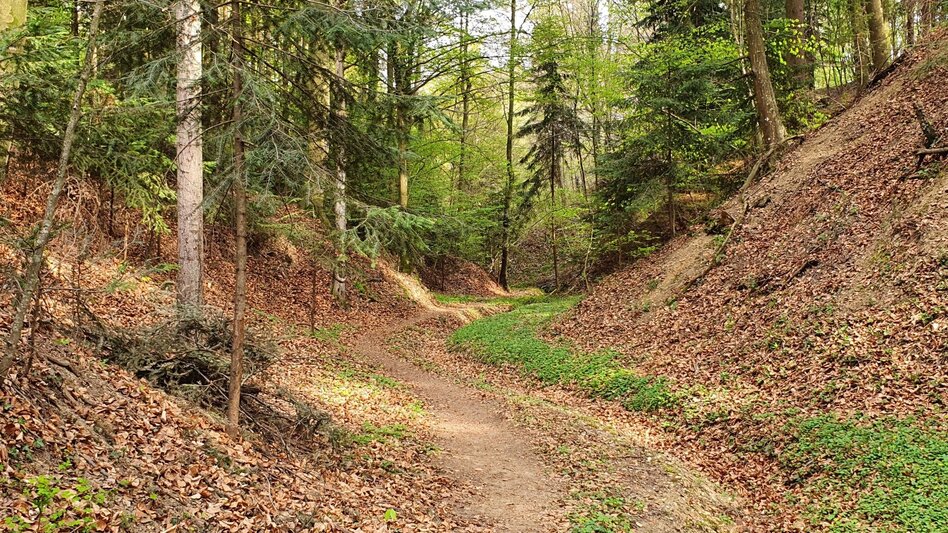 Hiking route Steinbachklamm - way back via Neudorfberg - Touren-Impression #2.3 | © (c) Günther Steininger