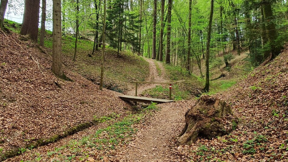 Hiking route Steinbachklamm - way back via Neudorfberg - Touren-Impression #2.5 | © (c) Günther Steininger