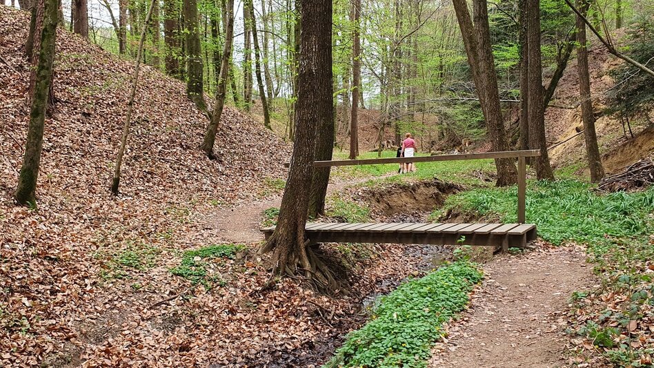 Hiking route Steinbachklamm - way back via Neudorfberg - Touren-Impression #2.7 | © (c) Günther Steininger