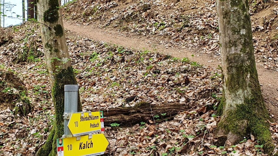 Hiking route Steinbachklamm - way back via Neudorfberg - Touren-Impression #2.9 | © (c) Günther Steininger