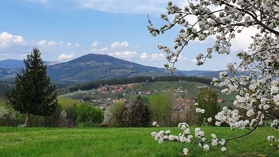 Hiking route Steinbachklamm - way back via Neudorfberg - Touren-Impression #2.12 | © (c) Günther Steininger