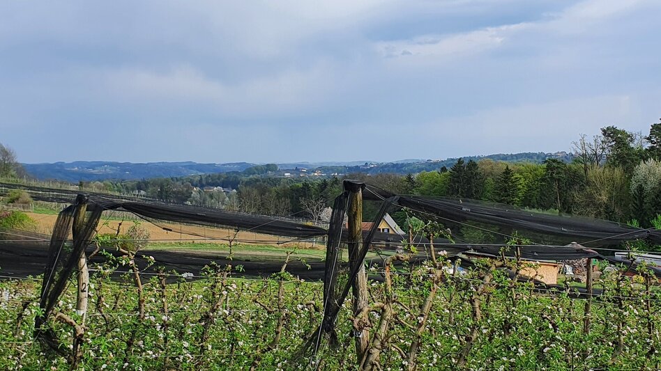 Hiking route Steinbachklamm - way back via Neudorfberg - Touren-Impression #2.14 | © (c) Günther Steininger