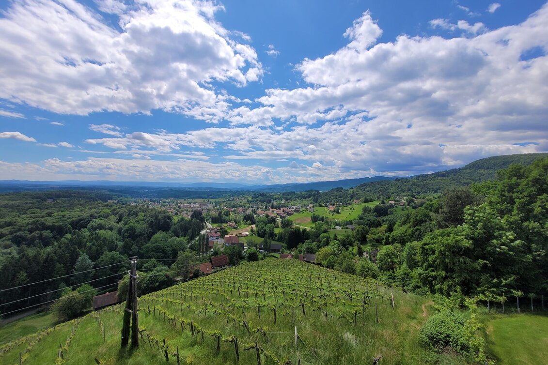 Hiking route Bad Gams Panorama Trail - Touren-Impression #1 | © TVB Südsteiermark/Irene Löschnig