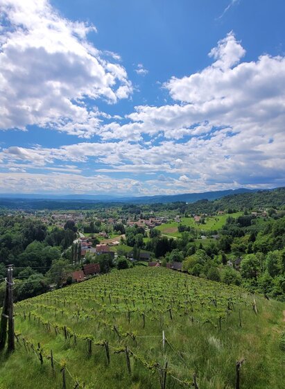 Weinbergwarte_Aussicht.jpg | © TVB Südsteiermark/Irene Löschnig | Irene Löschnig | © TVB Südsteiermark/Irene Löschnig