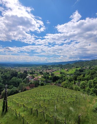 Irene Löschnig | © TVB Südsteiermark/Irene Löschnig