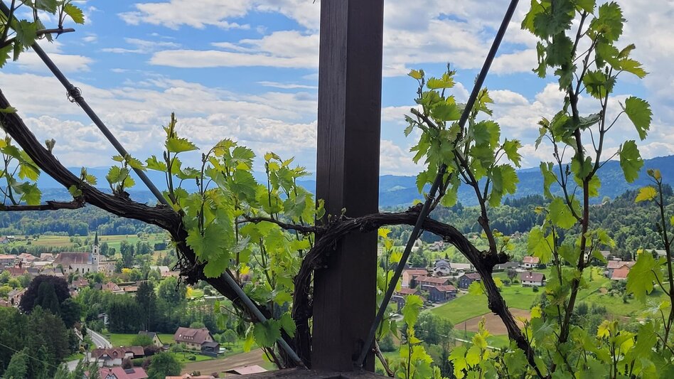 Hiking route Bad Gams Panorama Trail - Touren-Impression #2.2 | © TVB Südsteiermark/Irene Löschnig