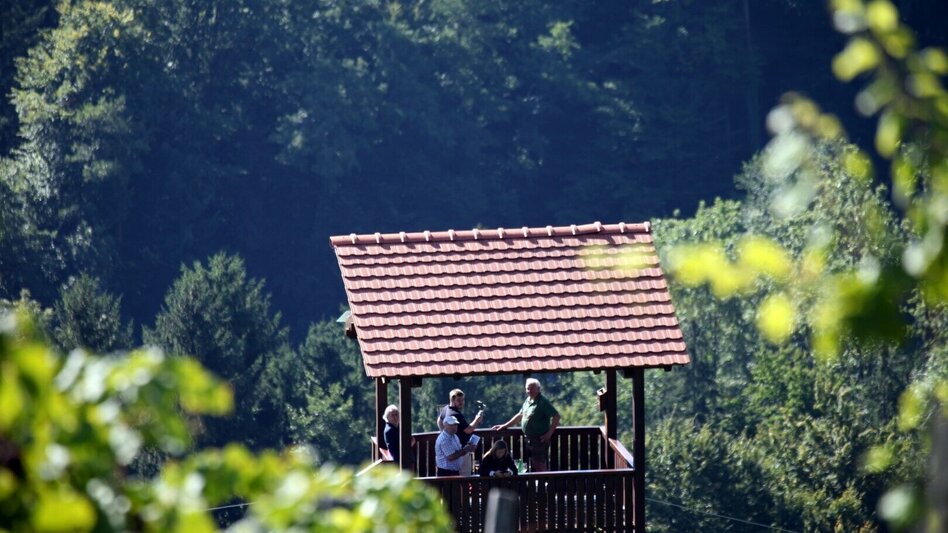 Hiking route Bad Gams Panorama Trail - Touren-Impression #2.3 | © TV Südsteiermark