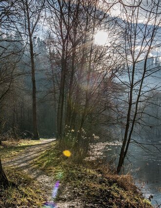 Die Au in Kapfenberg | Waltraud Pusterhofer | © TV Hochsteiermark