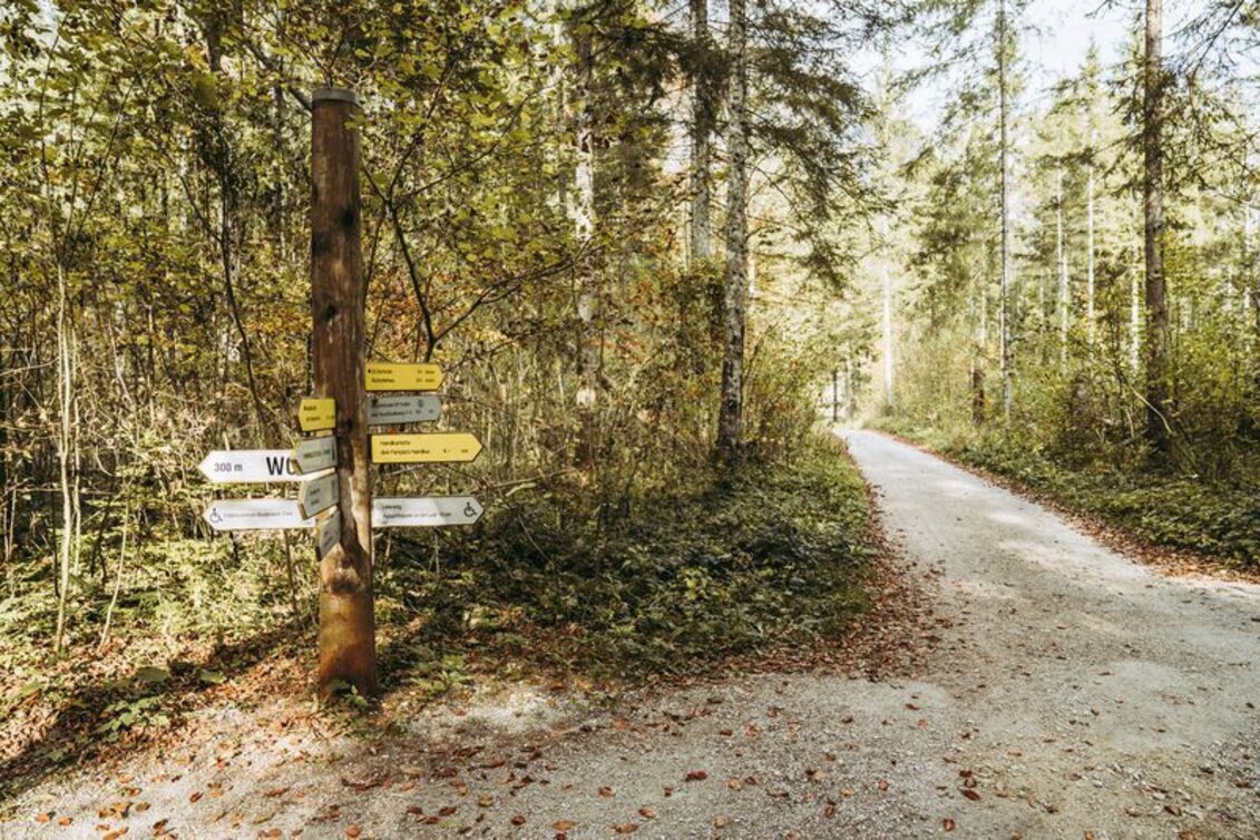 Promenade routes Leierweg - Touren-Impression #1 | © TV Gesäuse