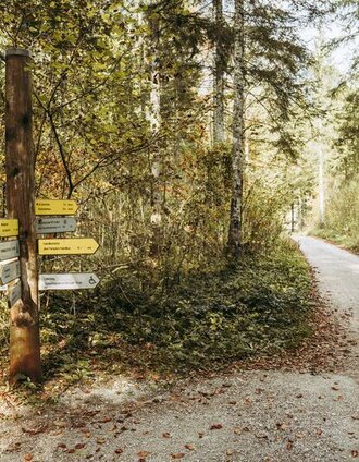 Startpunkt Leierweg | Tourismusverband Gesäuse | © TV Gesäuse