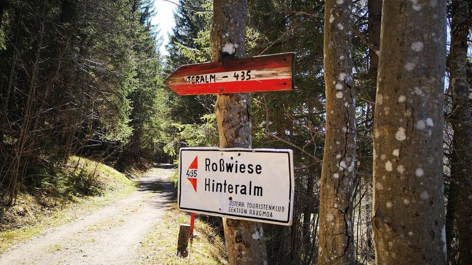 Hiking route Over the Rosswiese to the Spielkogel in the Mürzer Oberland Nature Park - Touren-Impression #2.2 | © TV Hochsteiermark
