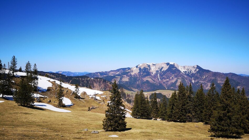 Hiking route Over the Rosswiese to the Spielkogel in the Mürzer Oberland Nature Park - Touren-Impression #2.4 | © TV Hochsteiermark