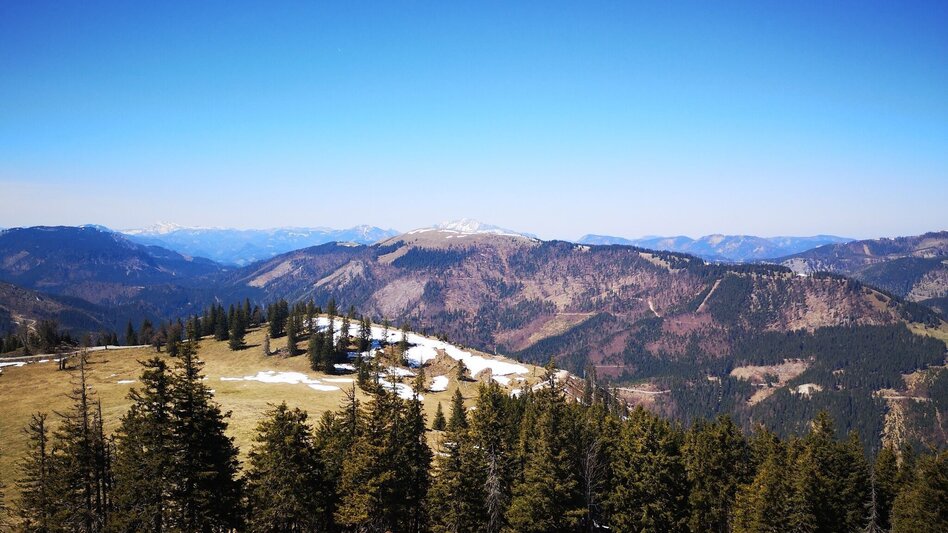 Hiking route Over the Rosswiese to the Spielkogel in the Mürzer Oberland Nature Park - Touren-Impression #2.5 | © TV Hochsteiermark