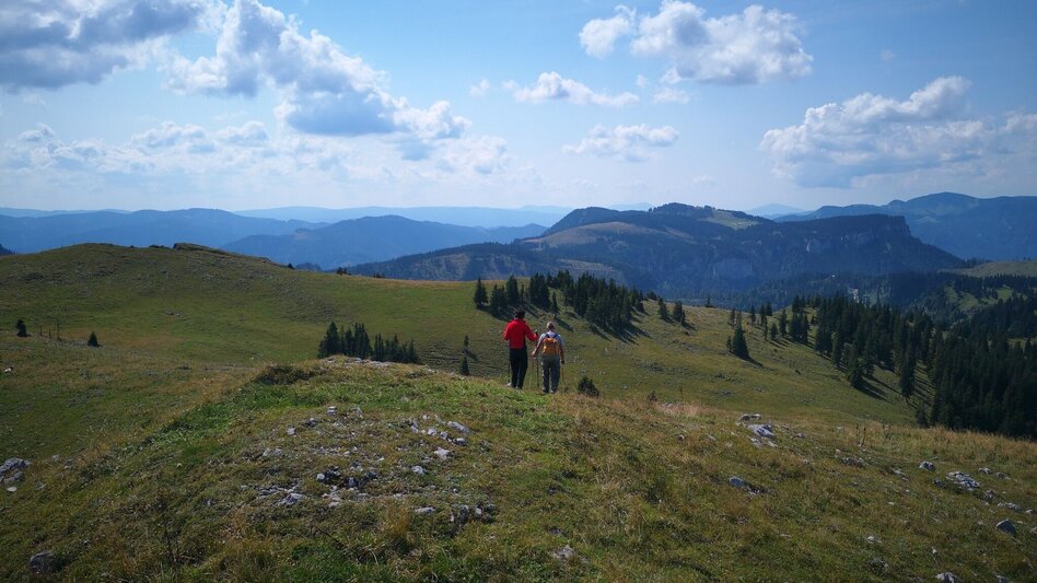 Hiking route Over the Rosswiese to the Spielkogel in the Mürzer Oberland Nature Park - Touren-Impression #2.6 | © TV Hochsteiermark