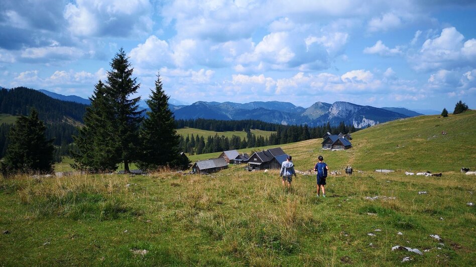 Hiking route Over the Rosswiese to the Spielkogel in the Mürzer Oberland Nature Park - Touren-Impression #2.7 | © TV Hochsteiermark