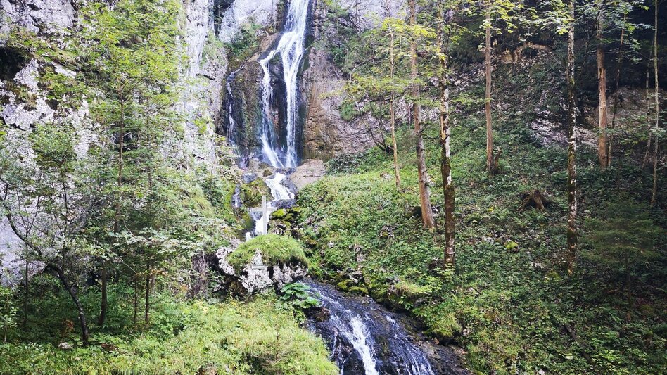 Hiking route Over the Rosswiese to the Spielkogel in the Mürzer Oberland Nature Park - Touren-Impression #2.8 | © TV Hochsteiermark