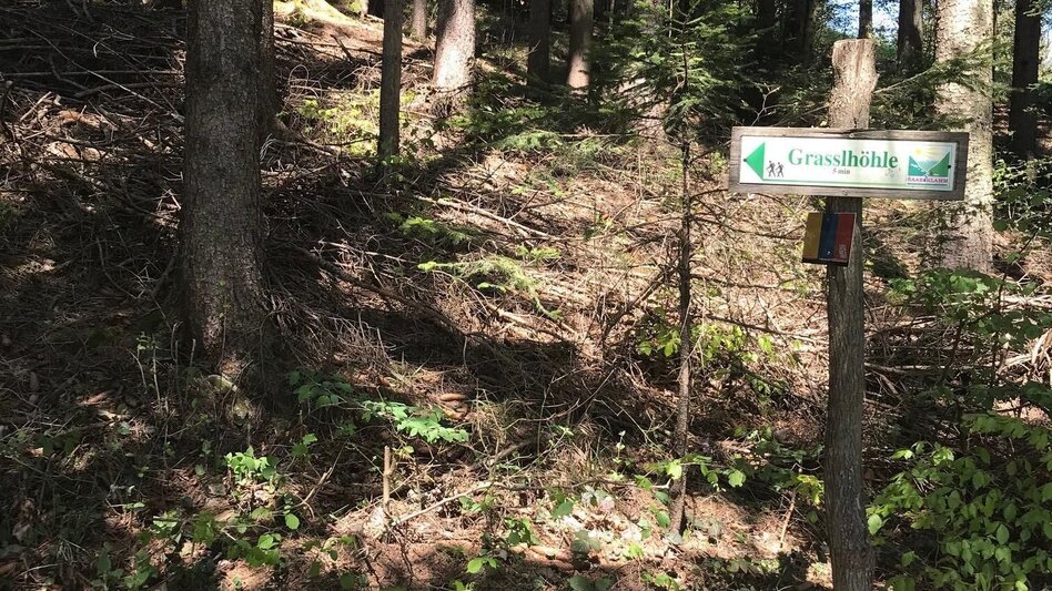 Wanderung Gösser Rundwanderweg - Touren-Impression #2.2 | © Oststeiermark Tourismus