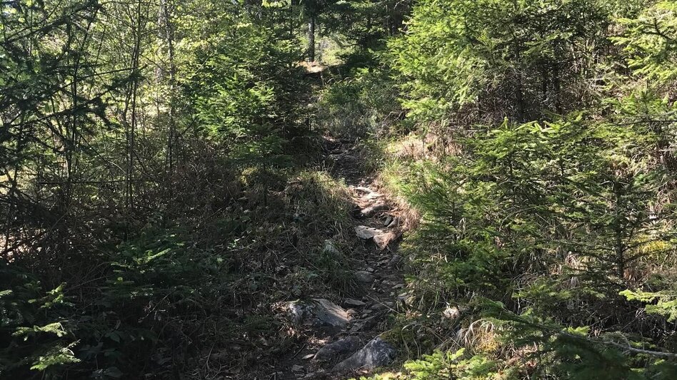 Wanderung Gösser Rundwanderweg - Touren-Impression #2.3 | © Oststeiermark Tourismus