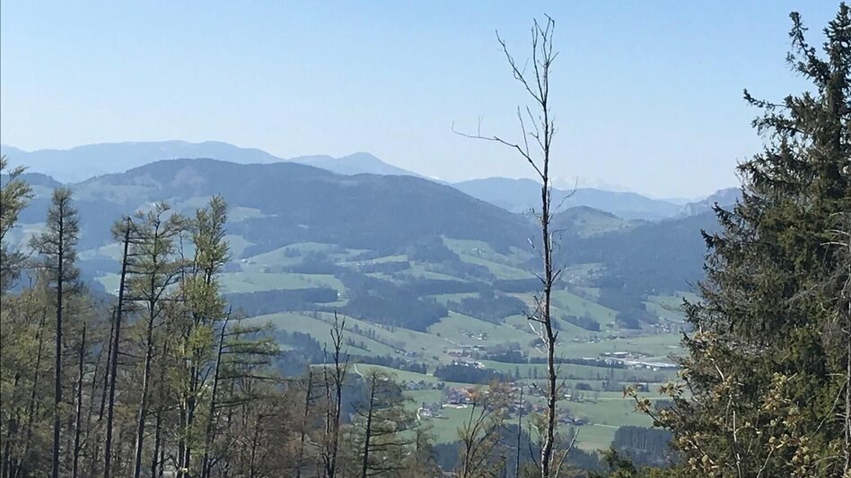 Wanderung Gösser Rundwanderweg - Touren-Impression #2.6 | © Oststeiermark Tourismus