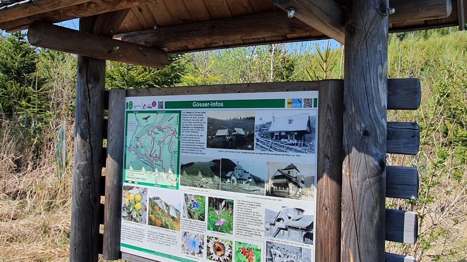 Wanderung Gösser Rundwanderweg - Touren-Impression #2.8 | © (c) Günther Steininger