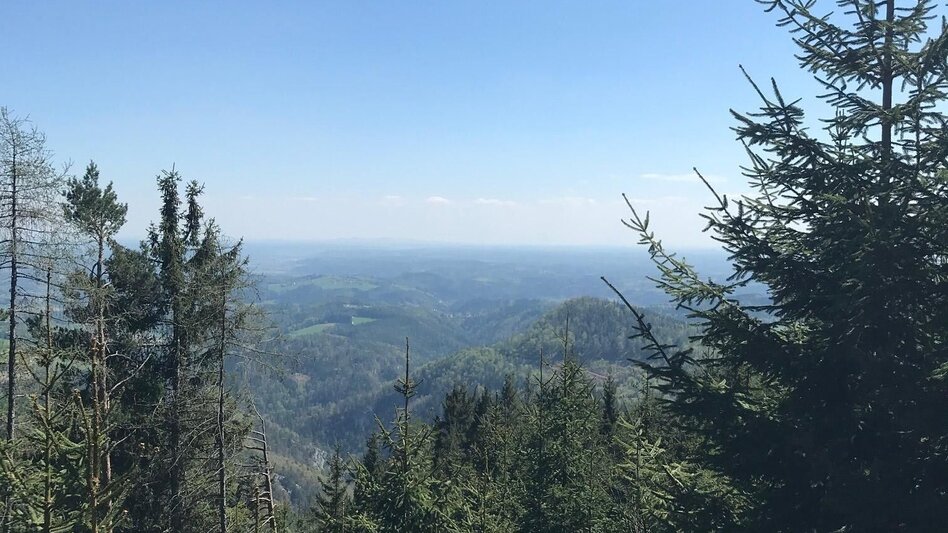 Wanderung Gösser Rundwanderweg - Touren-Impression #2.9 | © Oststeiermark Tourismus