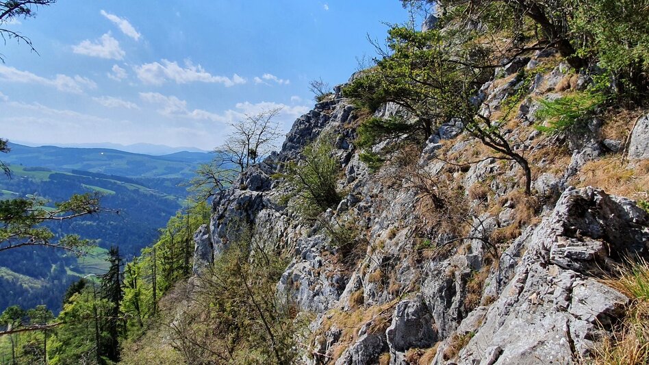 Wanderung Gösser Rundwanderweg - Touren-Impression #2.11 | © (c) Günther Steininger