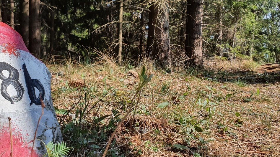 Wanderung Gösser Rundwanderweg - Touren-Impression #2.12 | © (c) Günther Steininger