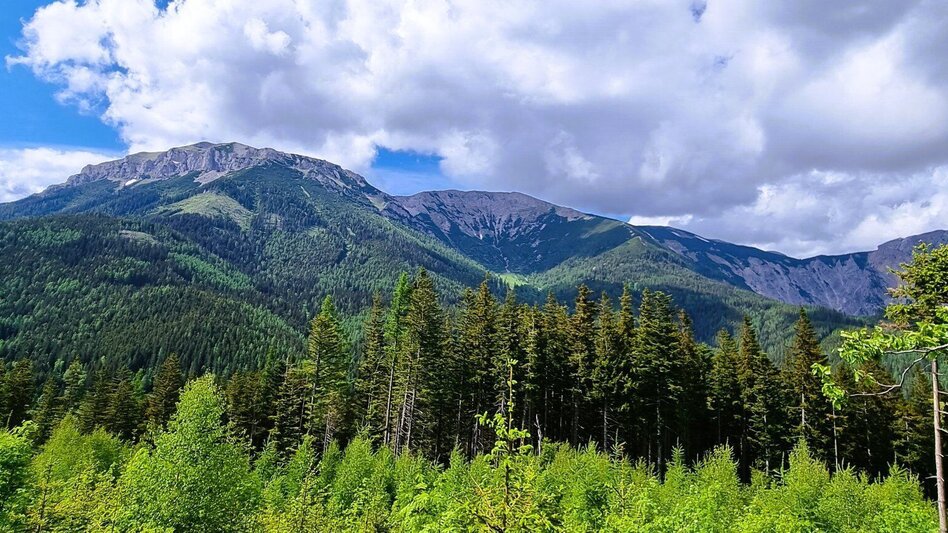 Wanderung Bleiweißgrube und Hohe Scheibe im Naturpark Mürzer Oberland - Touren-Impression #2.6 | © TV Hochsteiermark