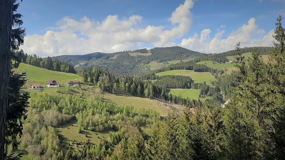 Hiking route Waldweg zur Mühle, Gasen - Touren-Impression #2.5 | © Oststeiermark Tourismus